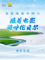 激情的网站